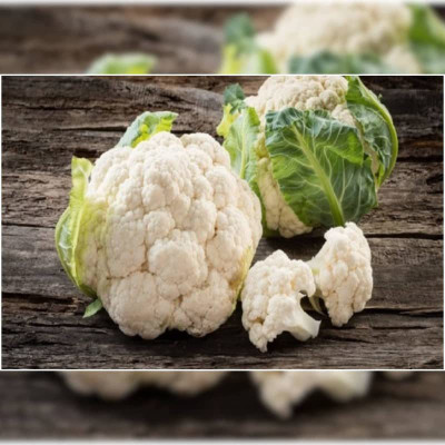 CYBEXIS VXI-70 - HYBRID F1 LUCKY CAULIFLOWER - (1350 Seeds) Seed(1350 per packet)