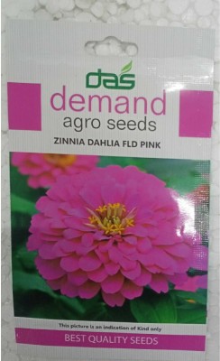 KRASHAK ZINNIA PURPLE FLOWER SEED Seed(2 per packet)