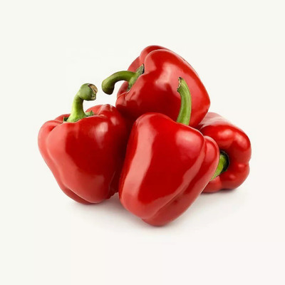 Quentova Capsicum Seeds Seed(100 per packet)