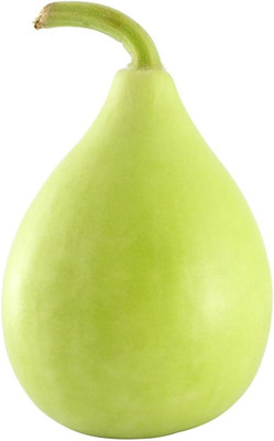 KNESSiN Quick germination Bottle Gourd Hybrid Seed Packet Seed(50 per packet)