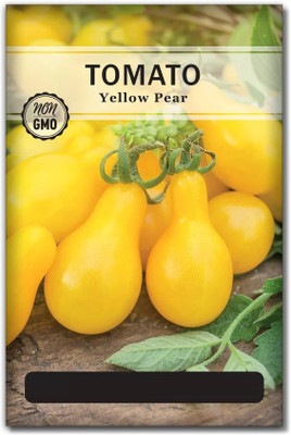 Quentova Yellow Pear Tomato 5gm Seeds Seed(2000 per packet)