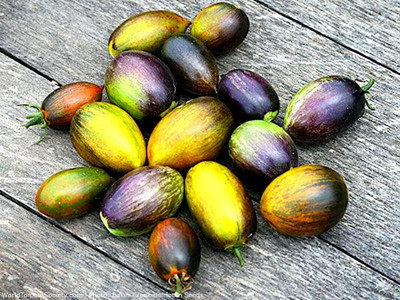 Qualtivate HUA-6A Atomic Grape Tomato Seed(300 per packet)