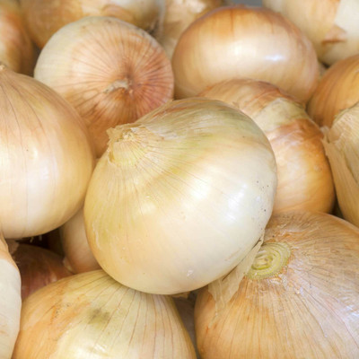 WATIKA Onion Seeds - Walla Walla Sweet Seed(1000 per packet)