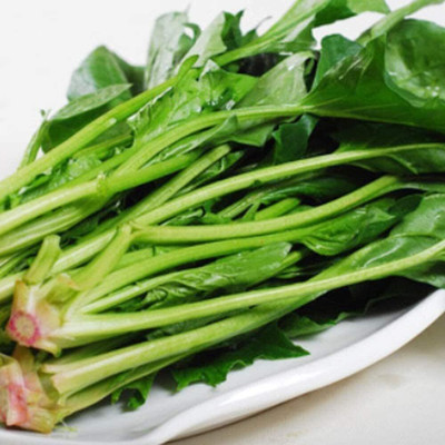 KNESSiN LXI-74 Spinach Seed(200 per packet)