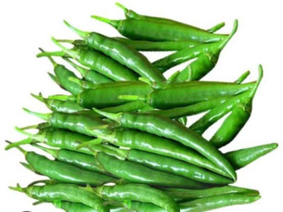hyb 10g, chilli seeds highest yield verity Seed(11 g)