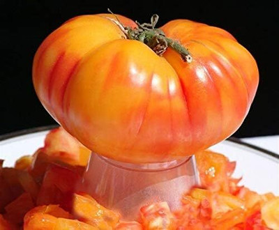 KNESSiN F1 Hybrid Rainbow Giant Beefsteak Tomato Seeds for Home Gardening - (2000 Seeds) Seed(2000 per packet)