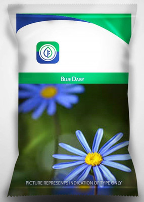 CYBEXIS Blue Daisy Flower Seeds For Gardening Seed(50 per packet)