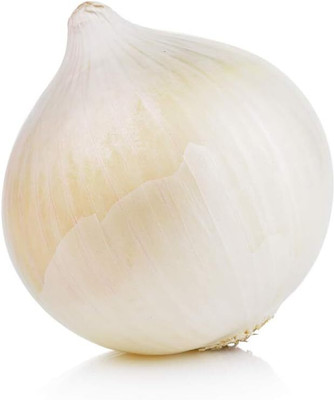 WILLVINE SCI -X White Sweet Spanish Onion Seeds [2.5g] Seed(1500 per packet)