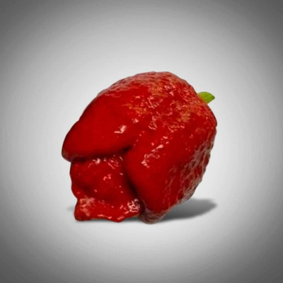 Qualtivate GBPT-6A C3PO Superhot Chilli Pepper Seed(300 per packet)