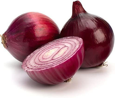 CYBEXIS Hardy Purple Onion Seeds2000 Seeds Seed(2000 per packet)