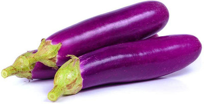 WILLVINE LXI-517 F1 Hybrid Brinjal Seeds Bengan Seed(200 per packet)