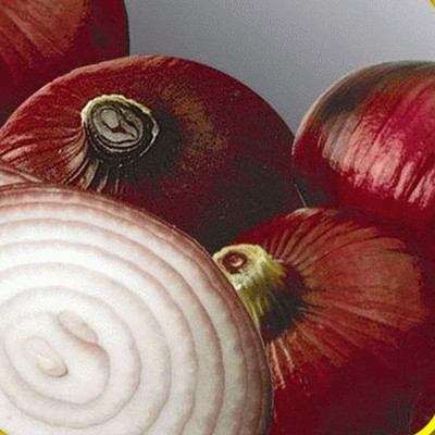Qualtivate HYB-6A Red Burgundy Onion Seeds Seed(500 per packet)