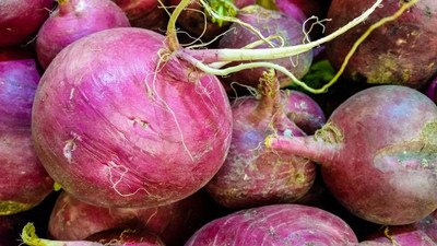 Aywal High Germination Seeds White Purple Top Turnip/Shalgam Seed(400 per packet)