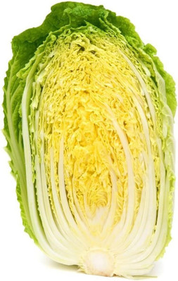 WILLVINE PUSA -X Chinese Cabbage - Michihli-Heading Cabbage [5g] Seed(1500 per packet)