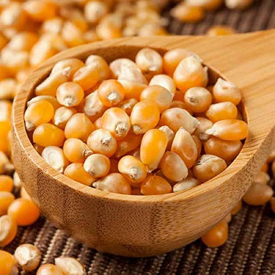 JAYANTAHALDER Popcorn/Vutta Seed(75 per packet)