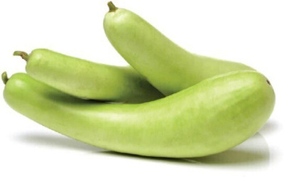 Avysa Long Bottle Gourd Seeds Seed(250 per packet)