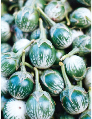 VibeX ® XXL-791 Brinjal Kermit (Green) Seed(200 per packet)