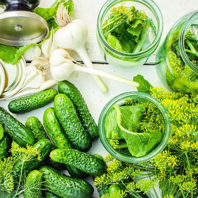 Biosnyg QAN-74 GMO-Free Heirloom Cucumber - National Pickling Seeds -[200 Seeds] Seed(200 per packet)