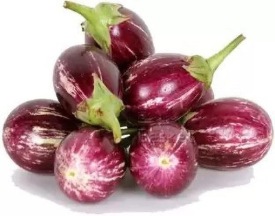 Aro Brinjal CVK, Brinjal Purple round, Eggplant Seed(100 per packet)