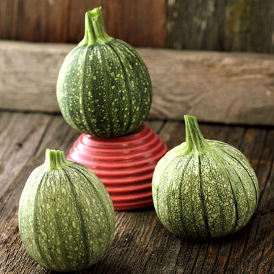 KNESSiN F1 Hybrid Round Zucchini Seeds for Home Gardening - (200 Seeds) Seed(200 per packet)