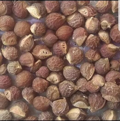 QWGPT REETHA Seed(1000 g)