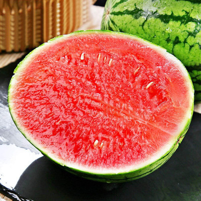 WILLVINE Hight Germination Red Watermelon Seeds-[100 Seeds] Seed(100 per packet)