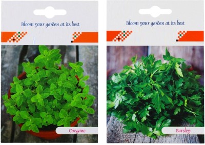 VibeX ™ XLL-415- 2 in 1 Parsley and Oregano Herb Seed Packet Seed(25 per packet)