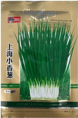 KNESSiN Shanghai Chives Seed(1250 per packet)