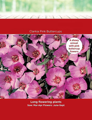 CYBEXIS Easygrow - Clarkia Pink Buttercups Seed(50 per packet)