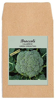 CYBEXIS Hybrid Vegetable Seeds-Green Sprouting Broccoli2000 Seeds Seed(2000 per packet)