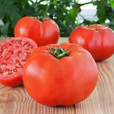 Qualtivate HUA-8A Bonny Best Tomato Seed(300 per packet)