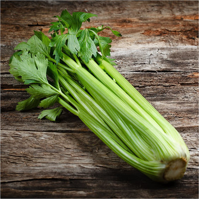 VibeX ® LXI-55 Utah 52-70 Celery (Apium graveolens) Seed(500 per packet)