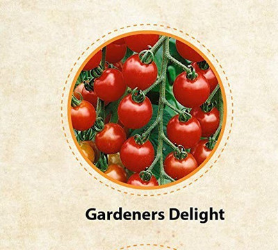 CYBEXIS GBPUT-61 - Gardener's Delight tomato - (450 Seeds) Seed(450 per packet)