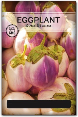 KNESSiN Rosa Bianca Brinjal Seed for Planting-[1gm] Seed(250 per packet)