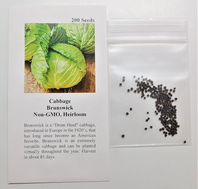 WILLVINE NKR -XI Cabbage Brunswick (Green) Seeds [1g] Seed(300 per packet)