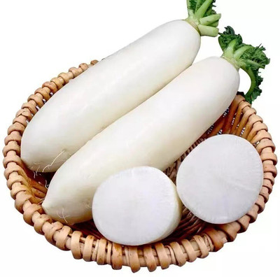 Avysa High Quality White Radish मूली के बीज Seed(800 per packet)