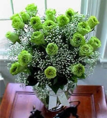 Qualtivate RES-2A GREEN ROSE Seeds Seed(25 per packet)