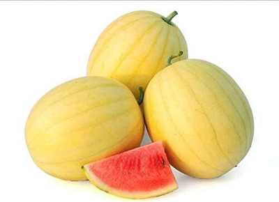 Qualtivate GBPT-9A F1 Hybrid Seeded Watermelon Seeds Seed(100 per packet)