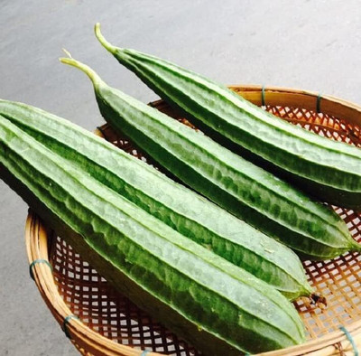 Qualtivate RES-9A Acutangula Angled Ridge Gourd Turai Seed(50 per packet)