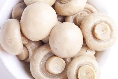 GREENSEA Mushroom Seed(82 per packet)