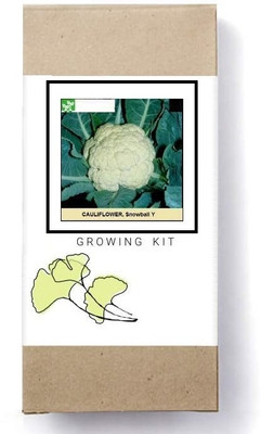 Biosnyg Snowball Cauliflower Seed(500 per packet)