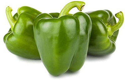 CYBEXIS VXI-19 - Capsicum Green - (1350 Seeds) Seed(1350 per packet)