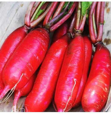 SUPRIKAM BIG SIZE TASTY PINK RADISH /MULI Seed(60 per packet)