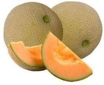 Chalisa Muskmelon, Kharbuja Seed(25 per packet)