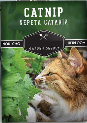 CYBEXIS LXI-22 - Catmint (Catnip Catswort Catwort) - (13500 Seeds) Seed(13500 per packet)
