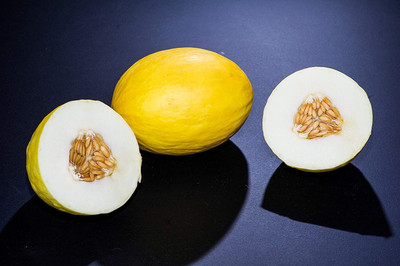CYBEXIS XL-12 - Brilliant Yellow - Yellow Melon - (1350 Seeds) Seed(1350 per packet)