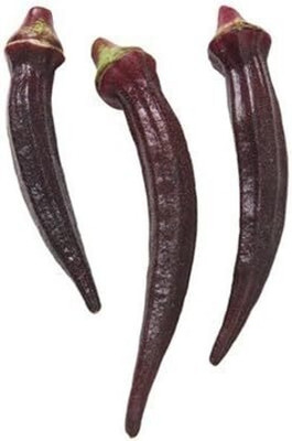 Qualtivate PUAS-1A Okra Red Burgundy Seed(350 per packet)