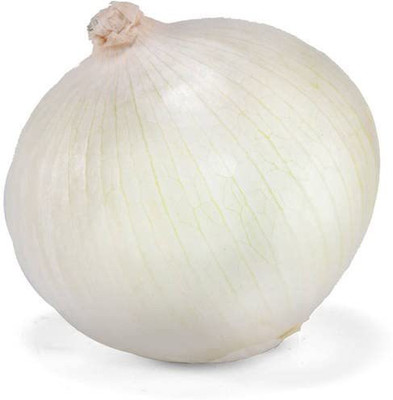WILLVINE VXI-1107 White Onion Seeds Seed(1000 per packet)