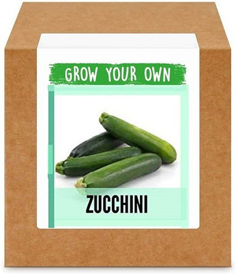CYBEXIS Zucchini400 Seeds Seed(400 per packet)