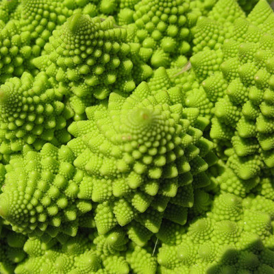 Qualtivate PUA-8A BROCCOLI ROMANESCO SEEDS Seed(300 per packet)